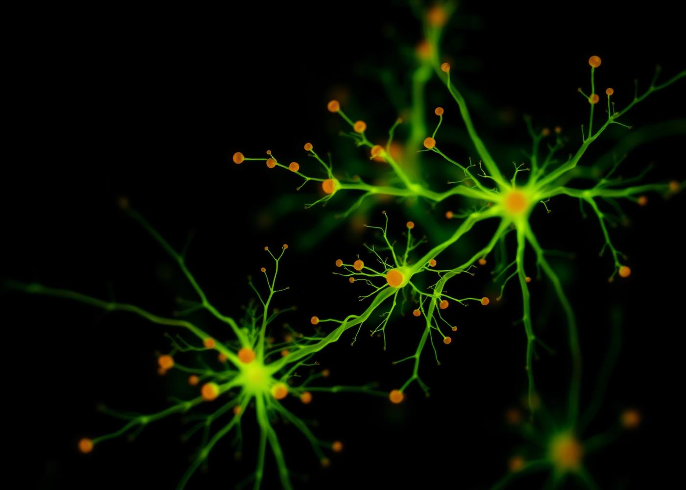 Glowing mycelium network of branching threads and nodes